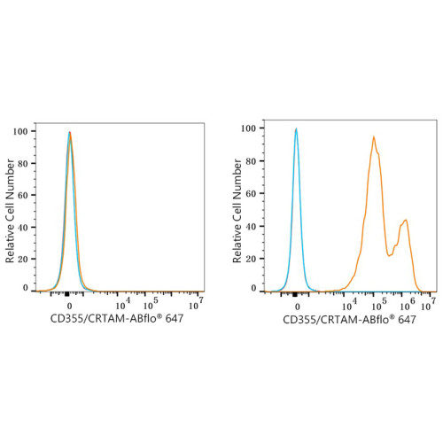 ABflo® 647 Rabbit anti-Human CD355/CRTAM mAb