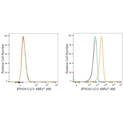 ABflo® 488 Rabbit anti-Human BTN3A1/2/3 mAb