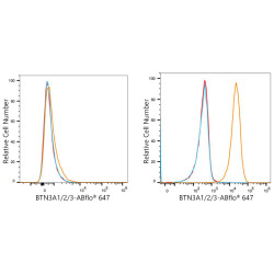 ABflo® 647 Rabbit anti-Human BTN3A1/2/3 mAb