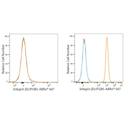 Integrin β5/ITGB5 Rabbit mAb