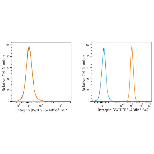 Integrin β5/ITGB5 Rabbit mAb