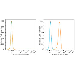 ROR1 Rabbit mAb