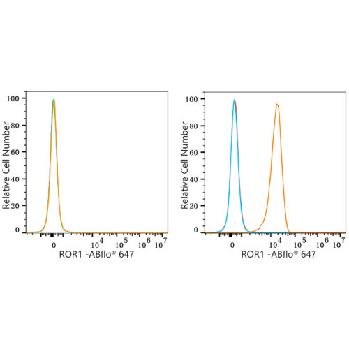 ROR1 Rabbit mAb