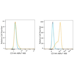 ABflo® 488 Rabbit anti-Mouse CD144/VE-Cadherin mAb