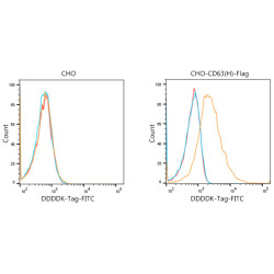 FITC-conjugated Goat anti-Mouse IgG (H+L)
