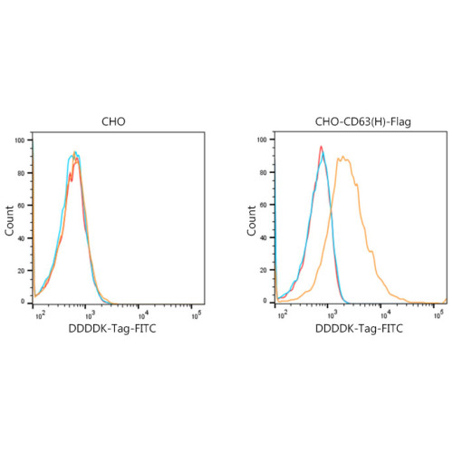 FITC-conjugated Goat anti-Mouse IgG (H+L)
