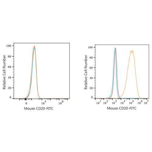 FITC-conjugated Goat anti-Rat IgG (H+L)