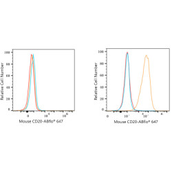 ABflo® 647-conjugated Rabbit anti-Rat IgG (H+L)
