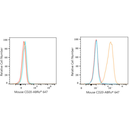 ABflo® 647-conjugated Rabbit anti-Rat IgG (H+L)