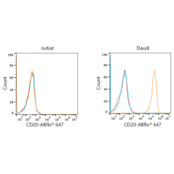 ABflo® 647-conjugated F(ab')₂ Fragment Goat anti-Rabbit IgG, Fc fragment specific