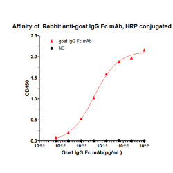 HRP-conjugated Rabbit anti-Goat IgG Fc mAb