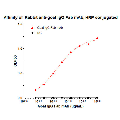 HRP-conjugated Rabbit anti-Goat IgG Fab mAb