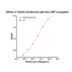 HRP-conjugated Rabbit anti-Monkey IgE (Fc) mAb