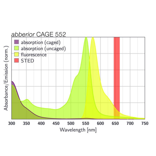 abberior CAGE 552 goat anti-mouse IgG,500 µg