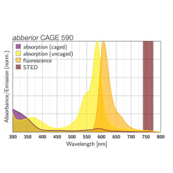 abberior CAGE 590 goat anti-mouse IgG 500 µg