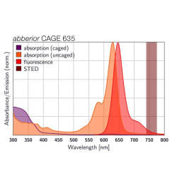 abberior CAGE 635, goat anti-mouse IgG, 500 µg