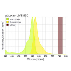abberior LIVE 550, actin, 50 µg