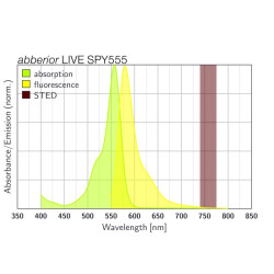 abberior LIVE SPY555, HaloX, 10 nmol