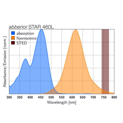 abberior STAR 460L, goat anti-rabbit IgG, 500 µl (1 mg/ml)