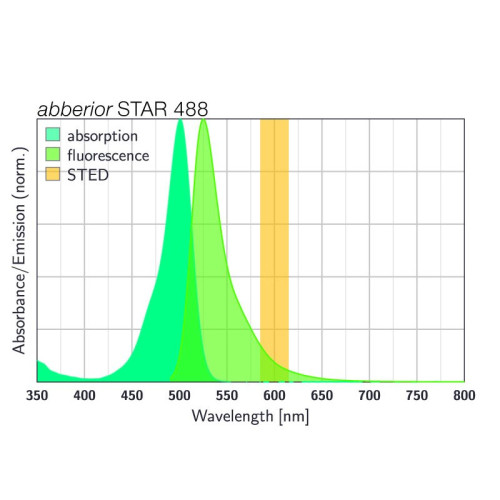 abberior STAR 488, goat anti-mouse IgG, 500 µl (1 mg/ml)