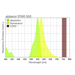 abberior STAR 550, goat anti-mouse IgG, 500 µl (1 mg/ml)