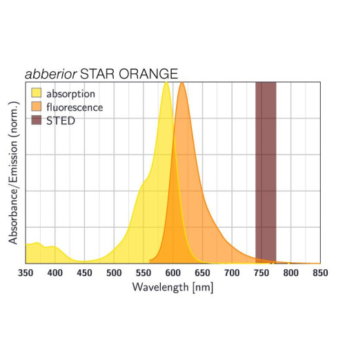 abberior STAR ORANGE, Protein Labeling Kit, 1 Kit
