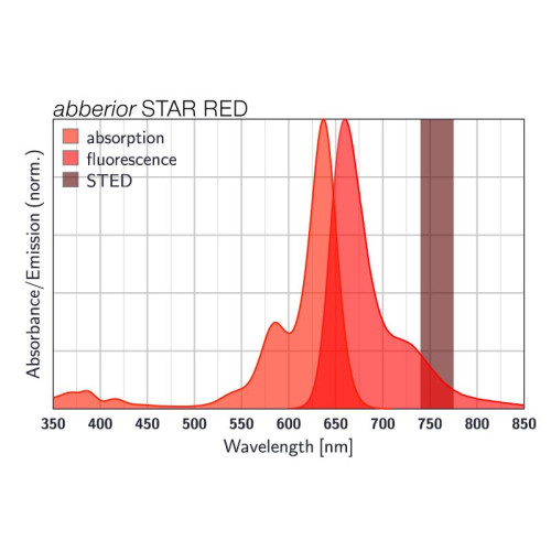 abberior STAR RED, DPPE, 500 µg