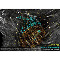 abberior PLEX, 4 color Kit A