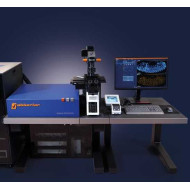 Abberior MIRAVA POLYSCOPE