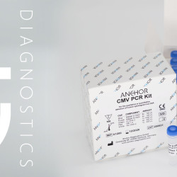 ANCHOR CMV PCR Kit (CE-IVD)