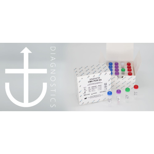 ANCHOR CMV PCR Kit (CE-IVD)
