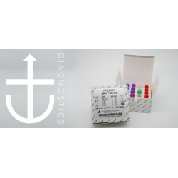 ANCHOR EBV PCR Kit ( CE-IVD)