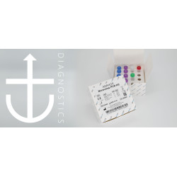 ANCHOR Norovirus PCR Kit (CE-IVD)