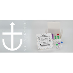 ANCHOR SARS CoV-2 PCR Kit v2.0 (CE-IVD)