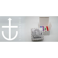 ANCHOR VZV PCR Kit (CE-IVD)