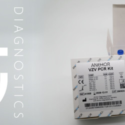 ANCHOR VZV PCR Kit (CE-IVD)