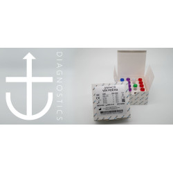 ANCHOR VZV PCR Kit (CE-IVD)