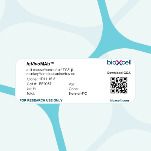 InVivoMAb anti-mouse/human/rat/monkey/hamster/canine/bovine TGF-β