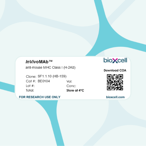 InVivoMAb anti-mouse MHC Class I (H-2Kd)