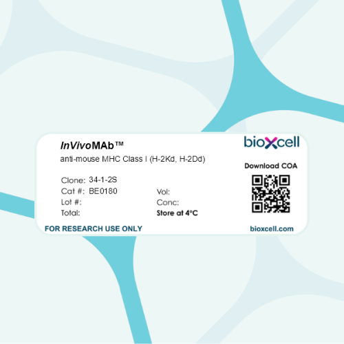 InVivoMAb anti-mouse MHC Class I (H-2Kd, H-2Dd)
