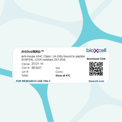 InVivoMAb anti-mouse MHC Class I (H-2Kb) bound to SIINFEKL peptide (OVA residues 257-264)