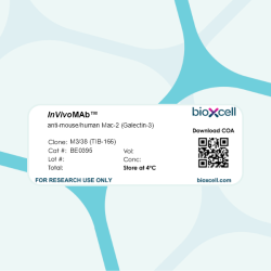InVivoMAb anti-mouse/human Mac-2 (Galectin-3)
