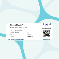 RecombiMAb anti-mouse CTLA-4 (CD152)