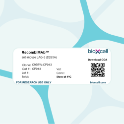 RecombiMAb anti-mouse LAG-3 (D265A)