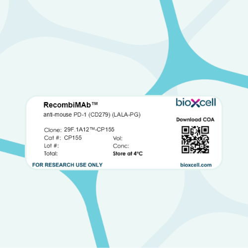 RecombiMAb anti-mouse PD-1 (CD279) (LALA-PG)