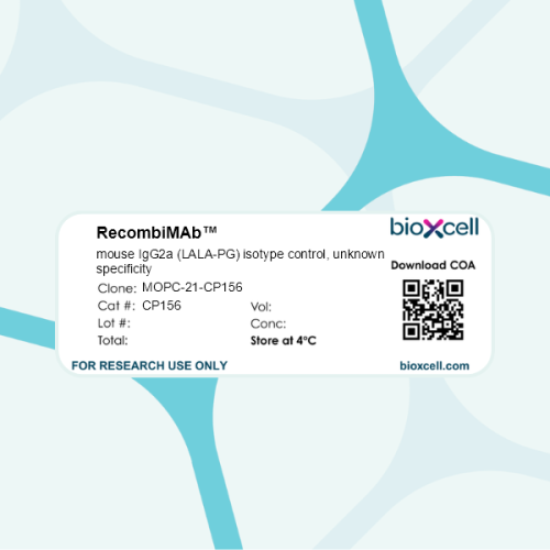 RecombiMAb mouse IgG2a (LALA-PG) isotype control, unknown specificity