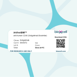 InVivoSIM anti-human CD40 (Sotigalimab Biosimilar)