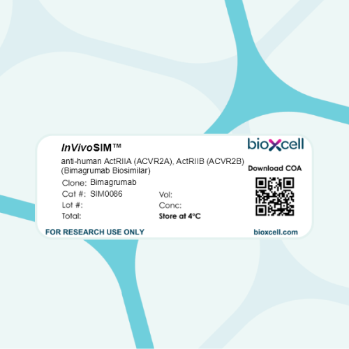 InVivoSIM anti-human ActRIIA (ACVR2A), ActRIIB (ACVR2B) (Bimagrumab Biosimilar)