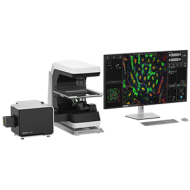 Echo CONFOCAL