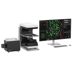 Echo CONFOCAL